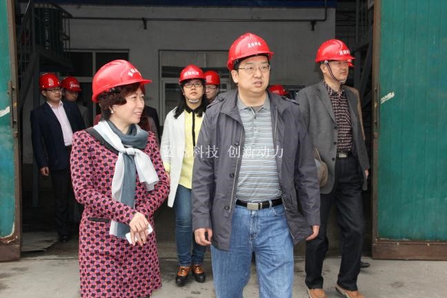 藍(lán)曉科技承擔(dān)“陜西省重大科技創(chuàng)新項(xiàng)目”通過驗(yàn)收