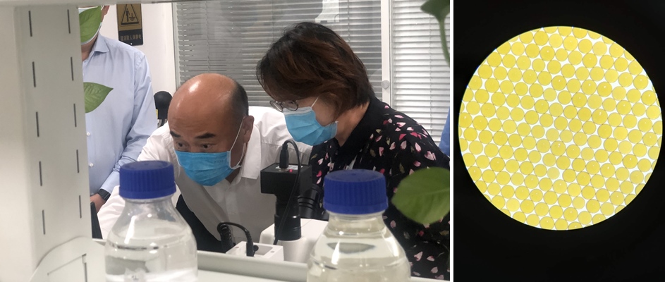 陜西省省長劉國中、西安市市長李明遠一行調研高陵藍曉產業園 陜西省省長劉國中、西安市市長李明遠一行調研高陵藍曉產業園