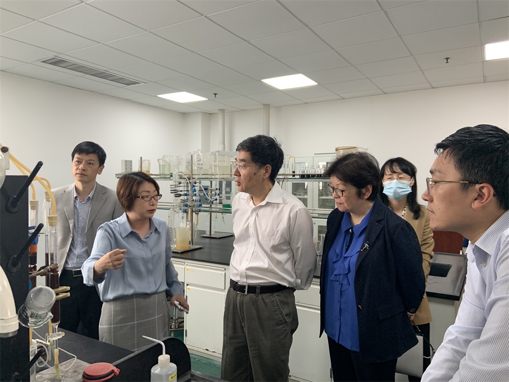 國務院發展研究中心領導蒞臨藍曉科技調研